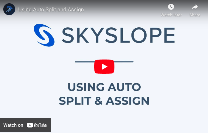 Auto_Split_and_Assign.png